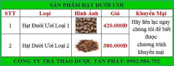 Địa chỉ mua bán hạt đười ươi tại Huyện Mê Linh tăng cường sức khỏe