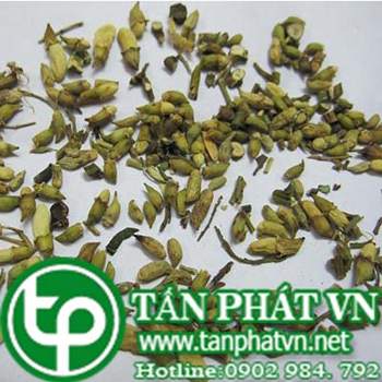 Phân phối sỉ lẻ hoa hòe tại Hóc Môn chống viêm